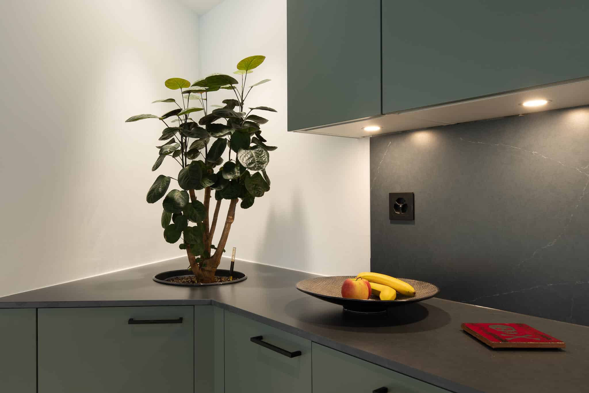 Plante d'intérieur incrustée dans plan de travail de couleur noir. Mobilier de cuisine de couleur verte. Rénovation de cuisine dans maison à Montreux.